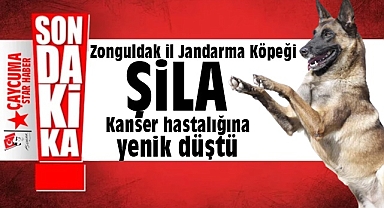 Jandarma köpeği Şila kansere yenik düştü