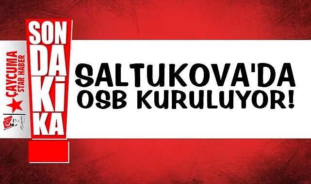 Saltukova'ya OSB kuruluyor!