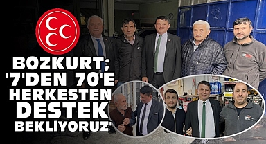 Bozkurt; 
