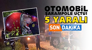 Otomobil şarampole uçtu: 5 yaralı