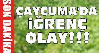 Çaycuma'da iğrenç olay!!!