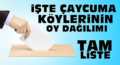 İşte Çaycuma köylerinin oy dağılımı / Tam liste