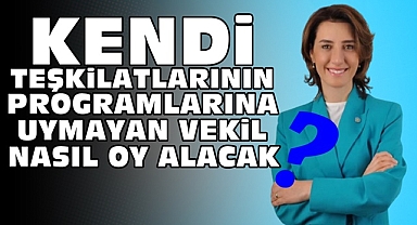 Kendi teşkilatlarının programlarına uymayan vekil nasıl oy alacak?