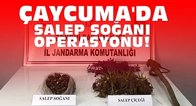 Çaycuma'da salep soğanı operasyonu!
