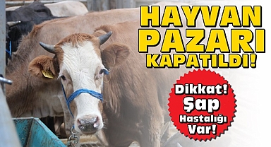Hayvan pazarı kapatıldı! / Dikkat Şap hastalığı var!
