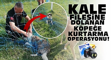 Kale filesine dolanan köpeğe kurtarma operasyonu!