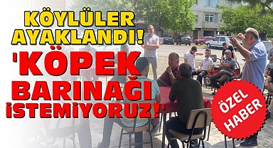 Köylüler ayaklandı! 'Köpek barınağı istemiyoruz!'