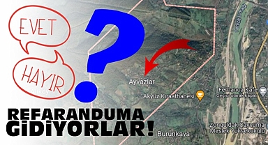 Referanduma gidiyorlar!