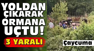 Yoldan çıkarak ormana uçtu! 3 yaralı