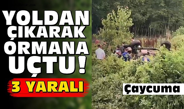 Yoldan çıkarak ormana uçtu! 3 yaralı