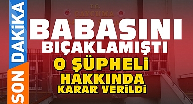 Babasını bıçaklamıştı, o şüpheli hakkında karar verildi