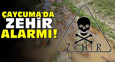 Çaycuma'da zehir alarmı!