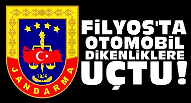 Filyos'ta otomobil dikenliklere uçtu!
