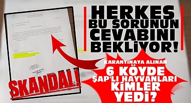 Karantinaya alınan 6 köyde Şap'lı hayvanları kimler yedi?!