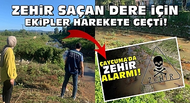 Zehir saçan dere için ekipler harekete geçti!