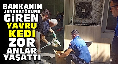 Bankanın jeneratörüne giren yavru kedi zor anlar yaşattı