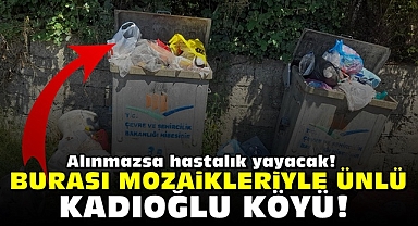 Burası mozaikleriyle ünlü Kadıoğlu köyü! Alınmazsa hastalık yayacak!
