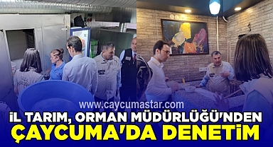 İl Tarım, Orman Müdürlüğü'nden Çaycuma'da denetim