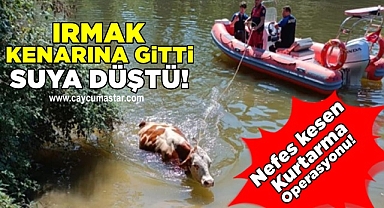 Irmak kenarına gitti, suya düştü! 