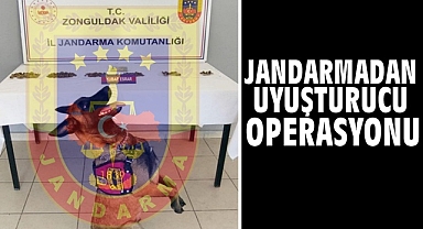 Jandarmadan uyuşturucu operasyonu