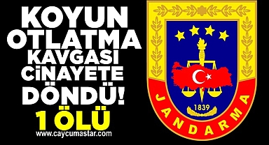 Koyun otlatma kavgası cinayete döndü! 1 Ölü