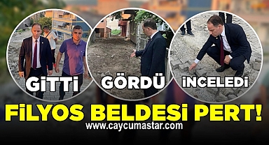 Milletvekili Yavuzyılmaz Filyos'un perişan halini yerinde inceledi!