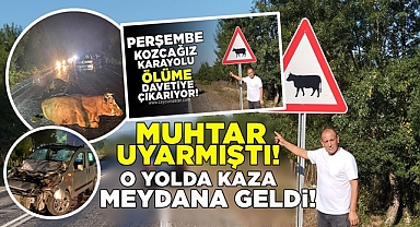 Muhtar uyarmıştı! O yolda kaza meydana geldi!