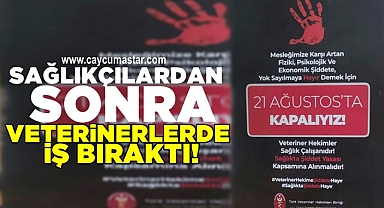 Sağlıkçılardan sonra veterinerlerde iş bıraktı!
