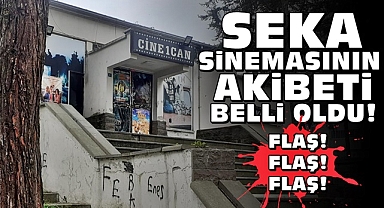 Seka sinemasının akıbeti belli oldu!