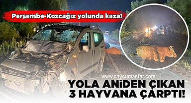 Yola aniden çıkan 3 hayvana çarptı! Perşembe-Kozcağız yolunda kaza!