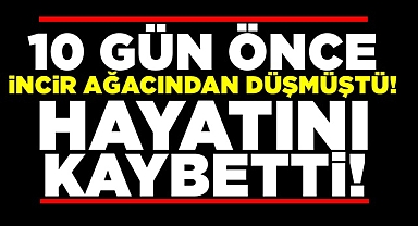 10 gün önce incir ağacından düşmüştü! / Hayatını kaybetti