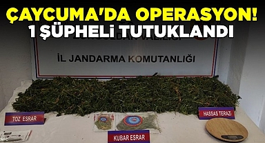 Çaycuma'da operasyon! / 1 şüpheli tutuklandı