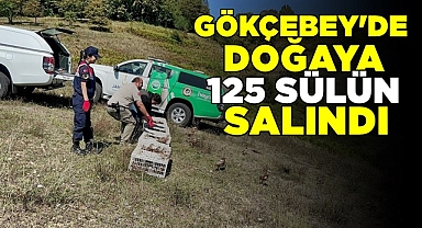 Gökçebey'de doğaya 125 sülün salındı