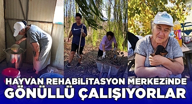 Hayvan rehabilitasyon merkezinde gönüllü çalışıyorlar
