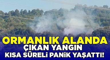 Ormanlık alanda çıkan yangın kısa süreli panik yaşattı!