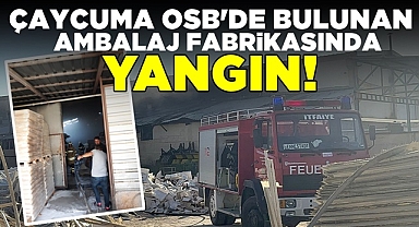 OSB'de bulunan ambalaj fabrikasında yangın!