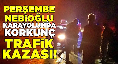 Perşembe-Nebioğlu karayolunda korkunç kaza!