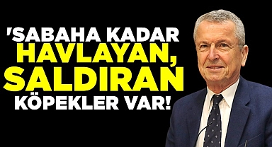 'Sabaha kadar havlayan, saldıran köpekler var!'