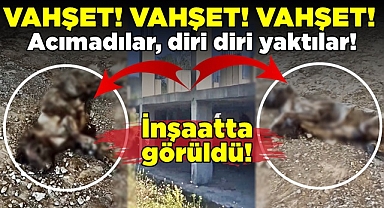 Vahşet! Acımadılar, diri diri yaktılar!