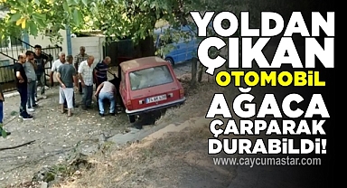 Yoldan çıkan otomobil ağaca çarparak durabildi!