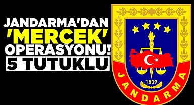 Jandarma’dan ‘Mercek’ operasyonu! / 5 tutuklu