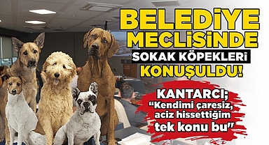 Kantarcı; 