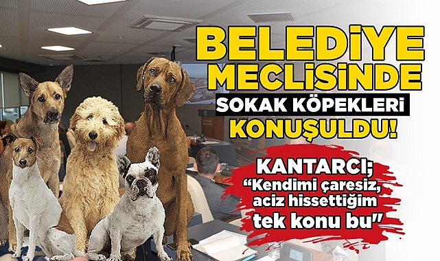 Kantarcı;