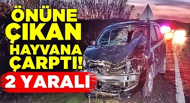 Önüne çıkan hayvana çarptı! 2 yaralı