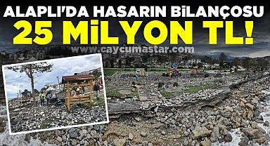 Alaplı'da hasarın boyutu 25 milyon TL!