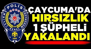 Çaycuma'da hırsızlık! 1 şüpheli yakalandı!