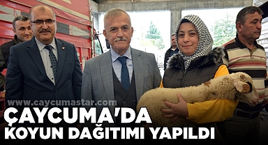 Çaycuma'da koyun dağıtımı yapıldı