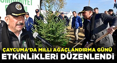 Çaycuma'da Milli Ağaçlandırma Günü etkinlikleri düzenlendi