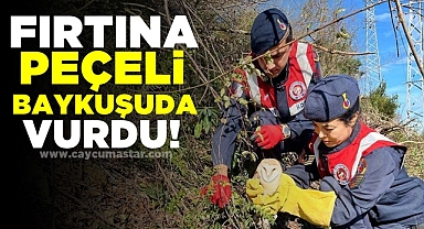 Fırtına Peçeli Baykuşuda vurdu!