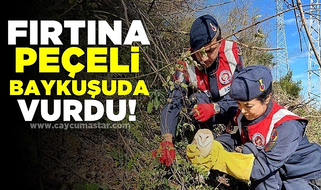 Fırtına Peçeli Baykuşuda vurdu!